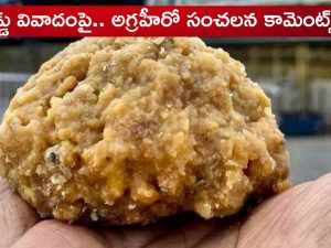 Tirumala Laddu: టెర్రరిస్ట్ లు కూడా ఈ పని చేయరు.. లడ్డు వివాదంపై అగ్ర హీరో సంచలన కామెంట్స్