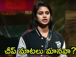 Bigg Boss 8 Telugu: ‘బిగ్ బాస్’ హౌజ్‌లో దొంగ ఏడుపులు.. విష్ణుప్రియా చీప్, మరోసారి నోరుజారిన సోనియా