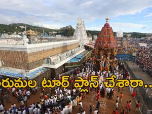 Tirumala: దసరాకు తిరుమల వెళ్తున్నారా.. దర్శనం టికెట్ లేకున్నా.. ఇలా చేస్తే శ్రీవారిని దర్శించవచ్చు