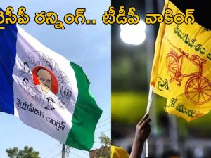 AP Elections: ఏపీలో ఎన్నికలు.. అప్పుడే అభ్యర్థిని ప్రకటించిన వైసీపీ..