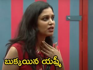 Bigg Boss 8 Telugu: ఛాన్స్ వస్తే మొహం పగలగొడతా, మా ఇంట్లో అలా ఫేక్‌గా పెంచలేదు.. ఆ కంటెస్టెంట్‌పై యష్మీ ఘాటు కామెంట్స్