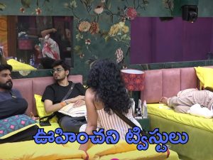 Bigg Boss 8 Telugu: సోనియాకు పృథ్వి ముద్దు, నిఖిల్‌తో సీత పులిహోర.. ఇవెక్కడి ప్రేమకథలు?