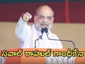 Amit Shah: మీకు ఆ దమ్ముందా? : అమిత్ షా