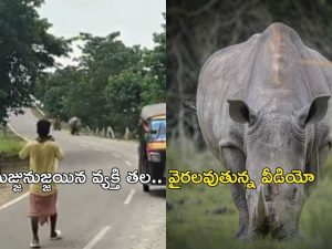 Viral Video: వామ్మో.. ఈ ఖడ్గమృగాన్ని చూడండి.. బైక్‌పై వెళ్తున్న వ్యక్తిని సడెన్‌గా…