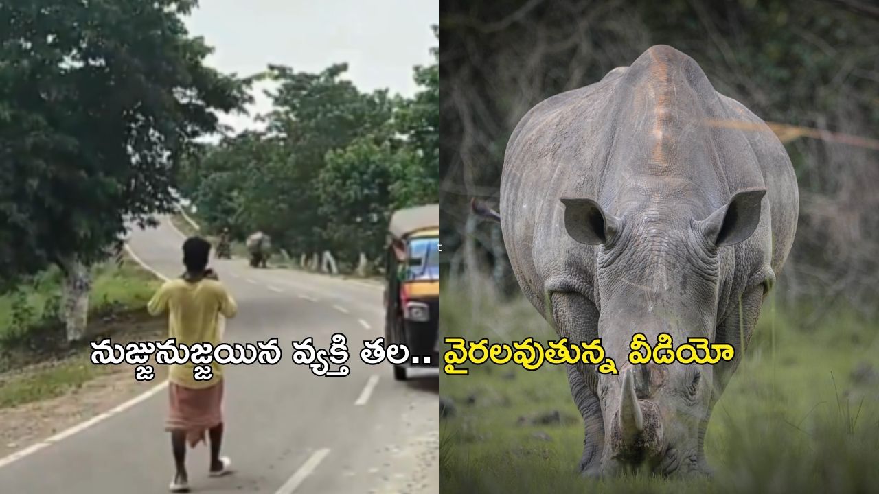 Viral Video: వామ్మో.. ఈ ఖడ్గమృగాన్ని చూడండి.. బైక్‌పై వెళ్తున్న వ్యక్తిని సడెన్‌గా…