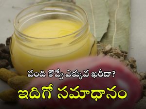 Animal Oil Making: జంతుల కొవ్వుతో నూనె ఎలా తయారు చేస్తారు? కల్తీని ఎలా గుర్తించాలి? ఒళ్లుగగూర్పాటు కలిగించే వాస్తవాలు!