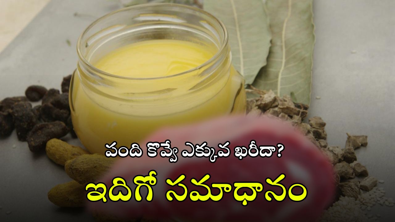 Animal Oil Making: జంతుల కొవ్వుతో నూనె ఎలా తయారు చేస్తారు? కల్తీని ఎలా గుర్తించాలి? ఒళ్లుగగూర్పాటు కలిగించే వాస్తవాలు!