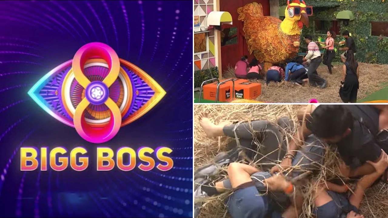 Bigg Boss Telugu 8 : దిగజారుతున్న బిగ్ బాస్… ప్రైవేట్ పార్ట్స్ టచ్ చేసేంత వరకు..