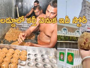 Tirupati Laddu: తిరుమలలో నిత్యం 3 లక్షల లడ్డూలు విక్రయం.. 500 వార్షిక ఆదాయం.. కల్తీ నెయ్యి వివాదం తరువాత..