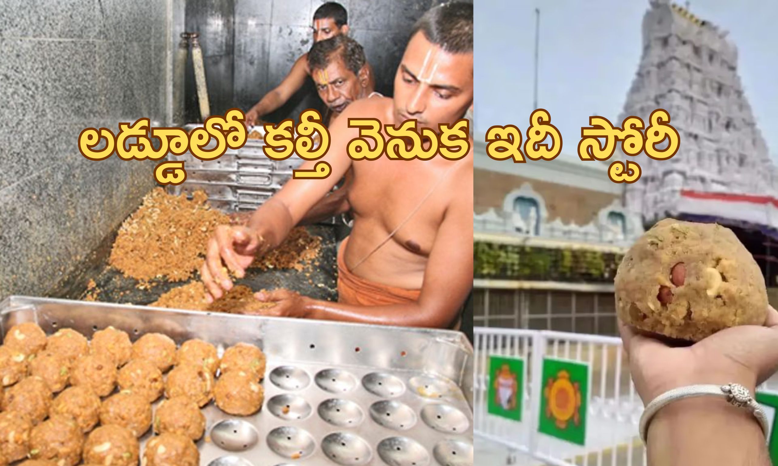 Tirupati Laddu: తిరుమలలో నిత్యం 3 లక్షల లడ్డూలు విక్రయం.. 500 కోట్లు వార్షిక ఆదాయం.. కల్తీ నెయ్యి వివాదం తరువాత..