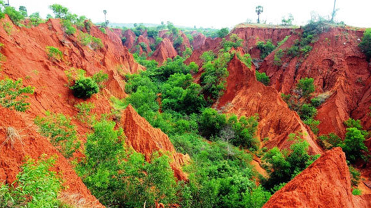 Bhimili red sand hills: భీమిలి ఎర్రమట్టి దిబ్బలు, పనులు ఆపాలంటూ హైకోర్టు ఆదేశం