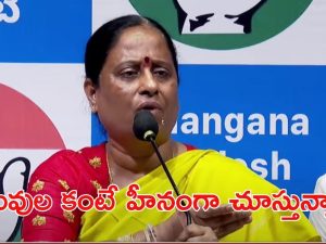 Konda Surekha: అన్నా, చెల్లిపై అలాంటి పోస్టులా? కంటతడి పెట్టిన మంత్రి కొండా సురేఖ