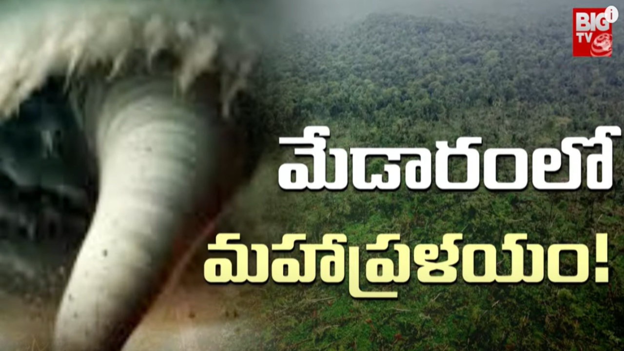 Medaram Forest: మేడారం అడవుల్లో ఏం జరిగింది ? విధ్వంసానికి కారణమేంటి ?