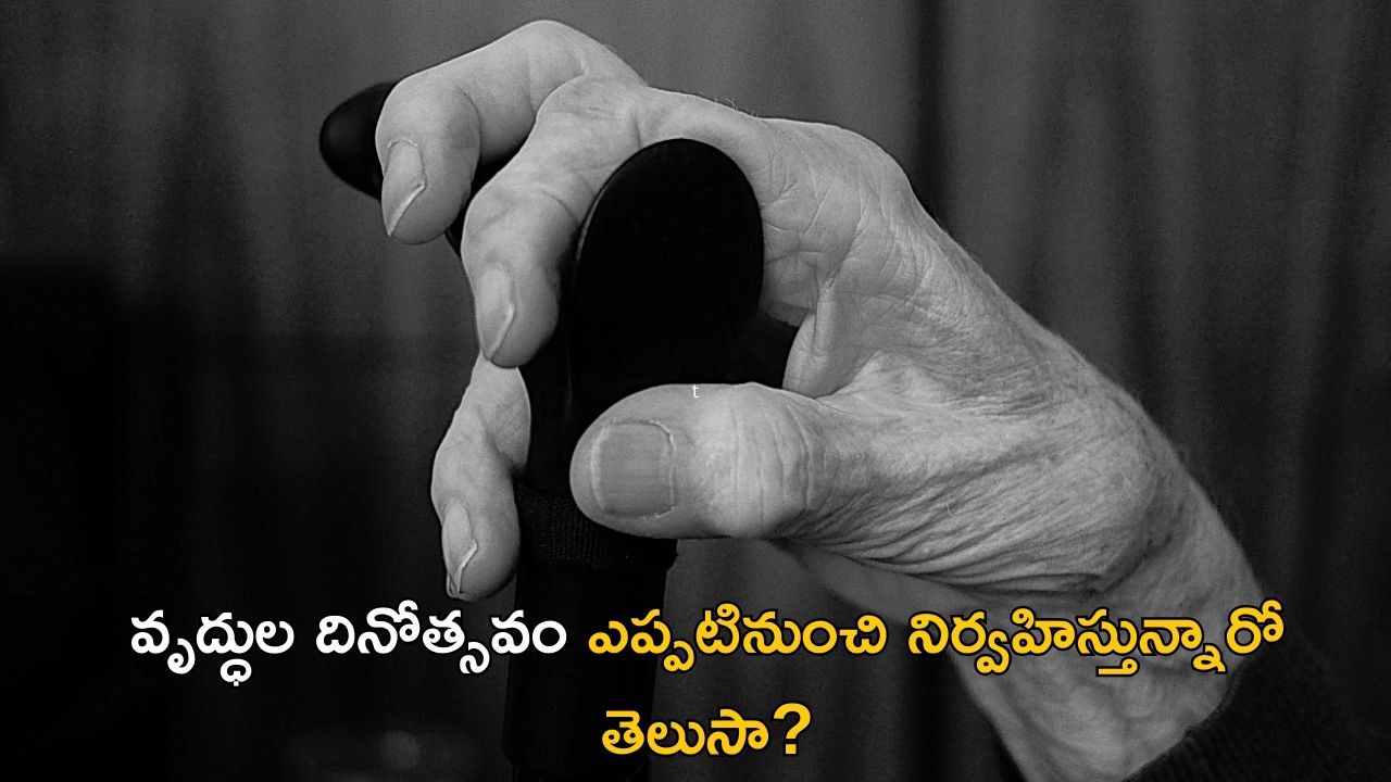 Older Persons Day: వృద్ధుల కోసం అంగన్‌వాడీ తరహా కేంద్రాలు.. దేశంలో ఎక్కడెక్కడున్నాయో తెలుసా?