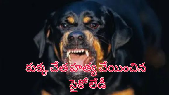 Woman Kills Boyfriend Daughter: కుక్కతో దాడి చేయించి హత్య.. బాయ్ ఫ్రెండ్ కూతురిని చంపిన సైకో లేడి!