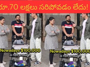 70 Lakh Salary Not Enough: 70 లక్షల సాలరీ సరిపోవడం లేదంటున్న సాఫ్ట్‌వేర్ ఉద్యోగి.. వైరల్ అయిన వీడియో