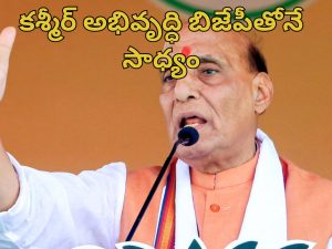 Rajnath Singh Kashmir: ‘పాకిస్తాన్ కు ప్రపంచ బ్యాంకు కంటే ఎక్కువ అప్పు భారత్ ఇవ్వగలదు’.. కశ్మీర్‌లో రాజ్ నాథ్ సింగ్