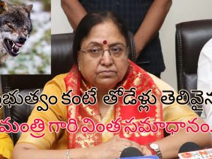 Uttar Pradesh Wolf Attacks: యూపీలో తోడేళ్ల విధ్వంసం.. 8 మంది మృతి.. మంత్రి వింత వాదన!