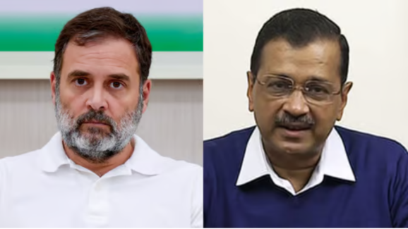 AAP.. Congress: ఆమ్ ఆద్మీకి రాహుల్ గాంధీ షాక్.. హర్యానాలో ఎవరికి వారే యమునా తీరే