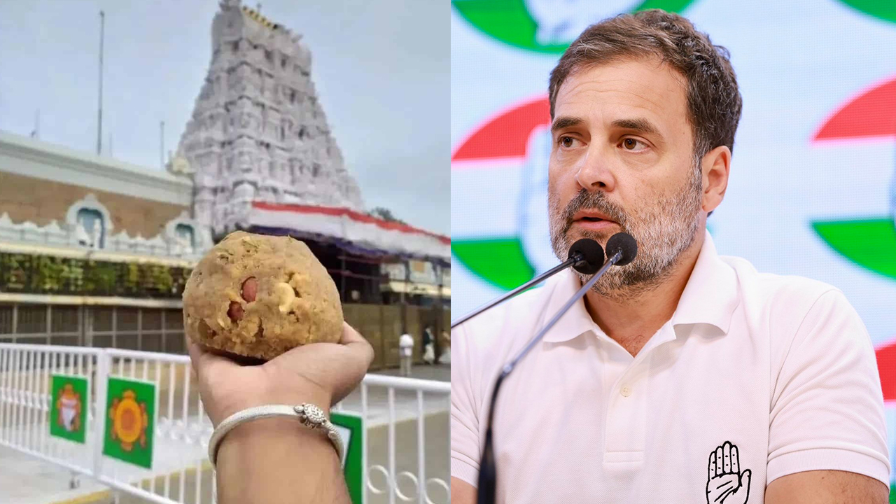 RahulGandhi reacts: తిరుమల లడ్డూ వివాదం.. రాహుల్‌గాంధీ రియాక్ట్, నెయ్యిపై సీఎం సిద్దరామయ్య..