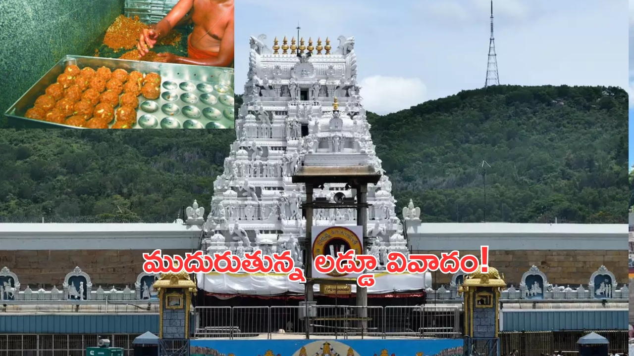 Tirumala Laddu: తిరుమల లడ్డూపై వివాదం.. వేంకటేశ్వరుడికి మచ్చతెచ్చేలా మాజీ సీఎం చేశారా?