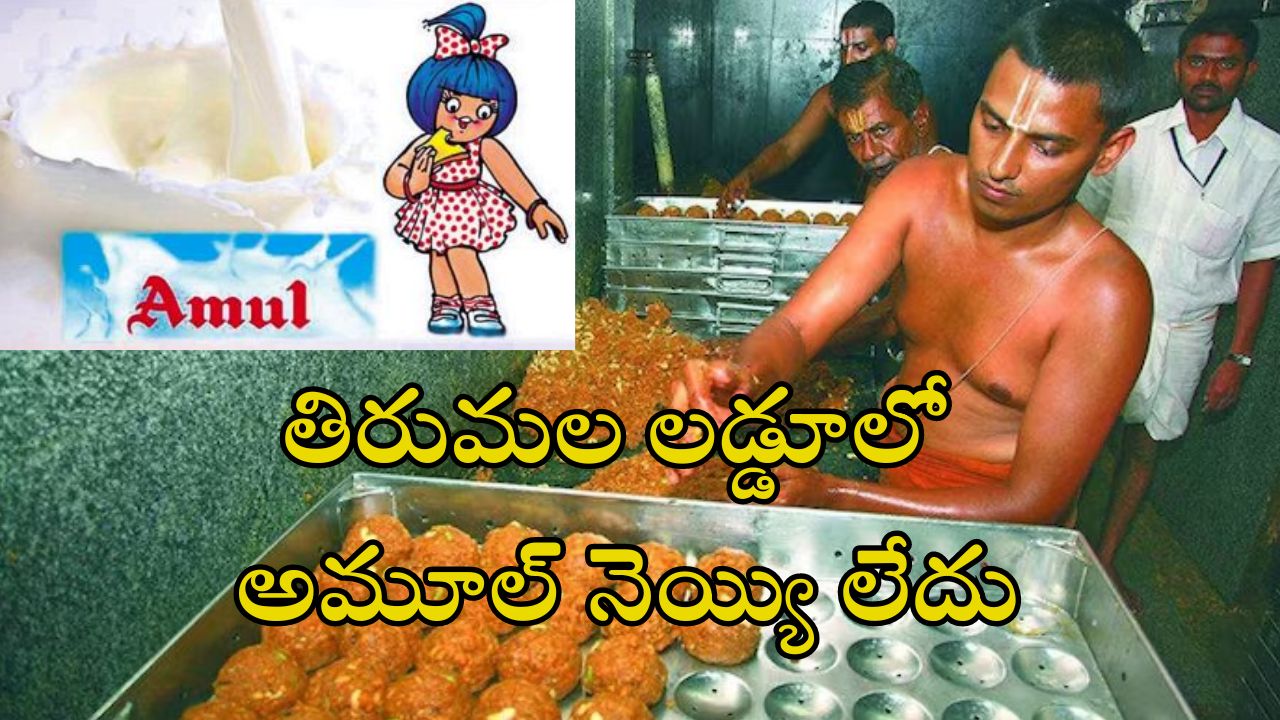 Tirupati laddu: తిరుపతి లడ్డూ వివాదం.. అముల్ కంపెనీ ఏం చెప్పిందంటే..