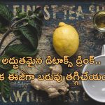 Belly Fat Detox Drink: నడుము చుట్టూ కొవ్వు పేరుకుపోయిందా?.. ఈ డిటాక్స్ డ్రింక్ తో కరిగించేయండి..