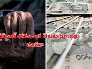 Monthly One Lakh Income Post Retirement: రిటైర్మెంట్ తరువాత నెలకు రూ.లక్ష సంపాదన.. ఇలా ప్లాన్ చేసుకోండి సరిపోతుంది..