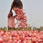 Onion Export Restrictions: ఉల్లి రైతులకు శుభవార్త.. ఎన్నికల దృష్ట్యా ఎగుమతులపై ఆంక్షలు తొలగించిన కేంద్రం..