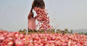 Onion Export Restrictions: ఉల్లి రైతులకు శుభవార్త.. ఎన్నికల దృష్ట్యా ఎగుమతులపై ఆంక్షలు తొలగించిన కేంద్రం..