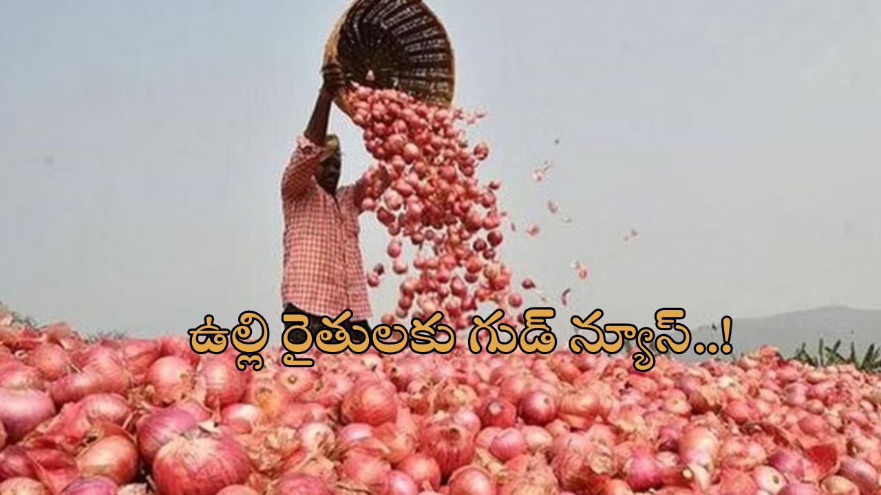 Onion Export Restrictions: ఉల్లి రైతులకు శుభవార్త.. ఎన్నికల దృష్ట్యా ఎగుమతులపై ఆంక్షలు తొలగించిన కేంద్రం..