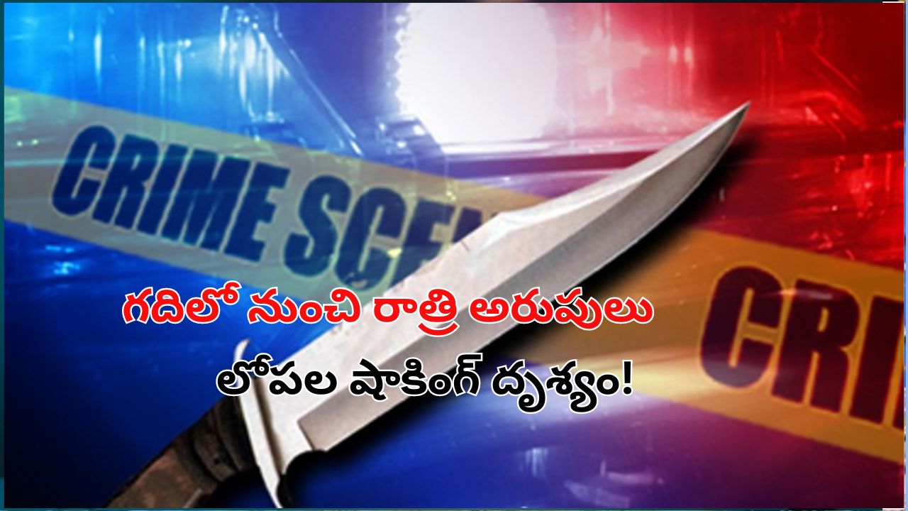 Teen Kills Owner: ఓనర్ ని హత్య చేసిన టీనేజర్.. తల్లి చావుకి పగ తీర్చుకోవడానికే..