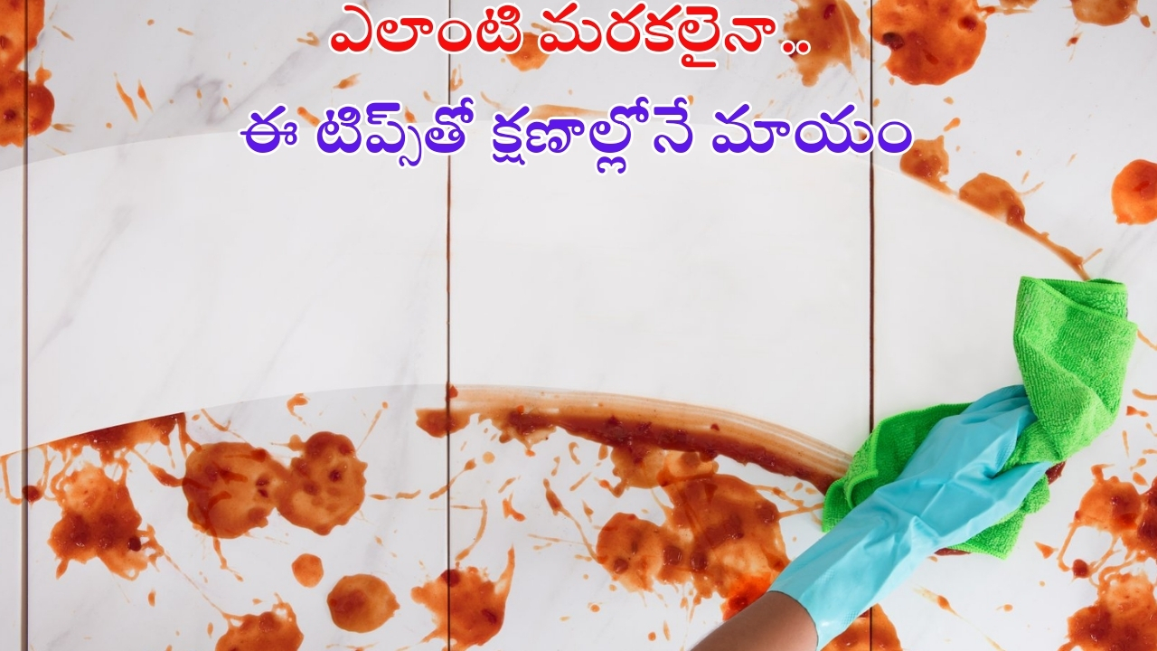 Wall Cleaning Tips: ఈ టిప్స్‌తో గోడలపై ఉన్న జిడ్డు, నూనె మరకలు మాయం !