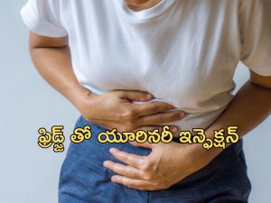 UTI and Fridge: మహిళలు యూరినరీ ట్రాక్ ఇన్ఫెక్షన్ బారిన పడటానికి ఇంట్లో ఉండే ఫ్రిజ్ కూడా కారణమే, అదెలాగంటే..