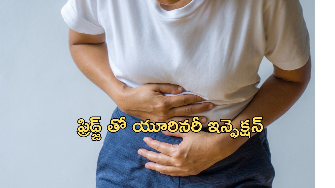 UTI and Fridge: మహిళలు యూరినరీ ట్రాక్ ఇన్ఫెక్షన్ బారిన పడటానికి ఇంట్లో ఉండే ఫ్రిజ్ కూడా కారణమే, అదెలాగంటే..