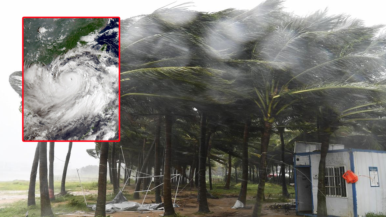 Typhoon Yagi Wreaks: చైనాలో యాగీ తుఫాను బీభత్సం.. నేల కూలిన బిల్డింగులు, ఎగిరిపోయిన వాహనాలు