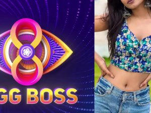 Bigg Boss 8 Telugu : బిగ్ బాస్ హౌస్ లోకి హాట్ బ్యూటీ.. మాస్టర్ ప్లాన్ అదిరిపోయిందిగా..