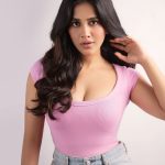 Nabha Natesh: పింక్ టాప్, సింపుల్ స్మైల్.. ఆహా అనిపిస్తున్న నభా అందం