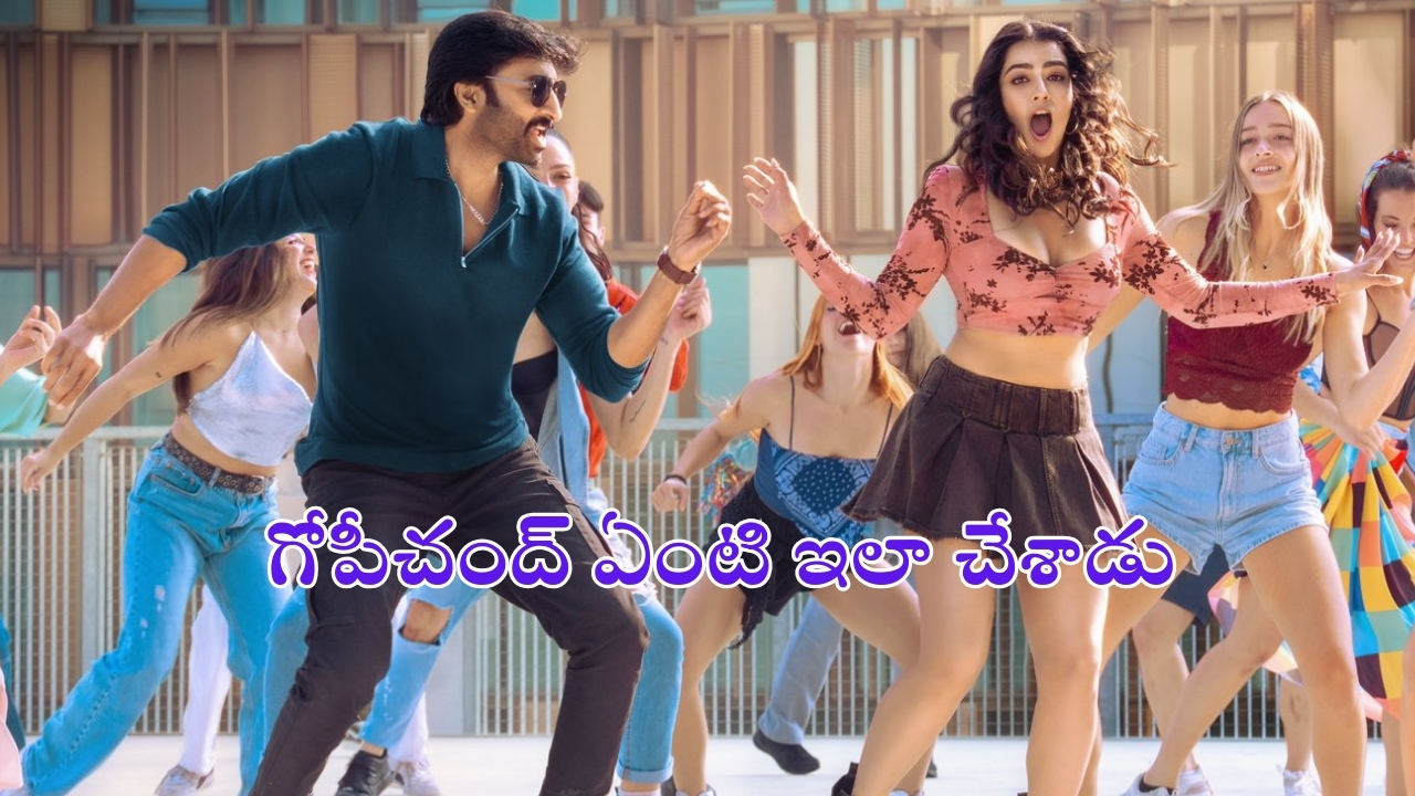 Viswam: ‘విశ్వం’ నుంచి సాంగ్ రిలీజ్.. బీట్ భలే కొత్తగా ఉందే