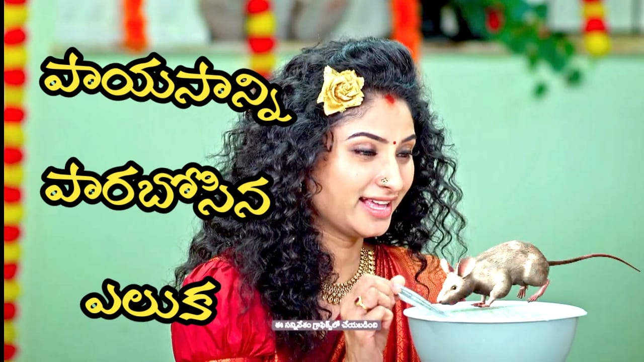 Trinayani Serial Today Episode: పాయసంలో విషం పెట్టి గాయత్రిని చంపాలనుకున్న తిలోత్తమ్మ.. ఎలుక ఏం చేసిందటే..!