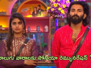 Bigg Boss Telugu 8: సోనియా ఆకుల నాలుగు వారాలకు ఎన్ని లక్షలు తీసుకుందంటే..?