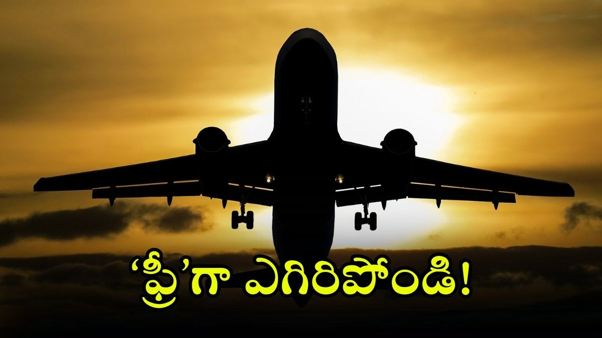 Free flight tickets: రండి బాబు.. రండి.. ఫ్రీగా విమానంలో ప్రయాణించండి, దేశమంతా ఉచితంగా చుట్టేయండి