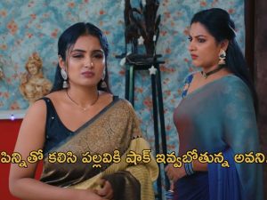 Intinti Ramayanam Today Episode : పల్లవి డ్రామా అవనికి తెలిసిపోయిందా? చక్రధర్ నిజస్వరూపం తెలుసుకున్న రాజేశ్వరి..