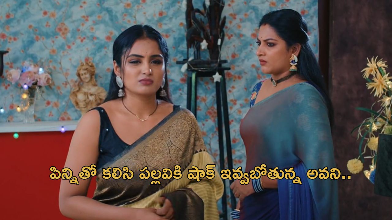 Intinti Ramayanam Today Episode : పల్లవి డ్రామా అవనికి తెలిసిపోయిందా? చక్రధర్ నిజస్వరూపం తెలుసుకున్న రాజేశ్వరి..