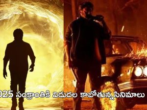 Sankranthi Movie 2025: సంక్రాంతి రేసులో ఏకంగా 10 సినిమాలు.. ఫ్యాన్స్ కు ఫుల్ మీల్సే..