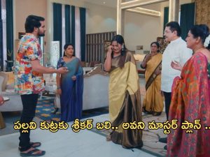 Intinti Ramayanam Today Episode : పల్లవి ప్లాన్ వర్కౌట్ అయ్యింది.. పిన్నితో కలసి పల్లవికి షాక్ ఇవ్వబోతున్న అవని..