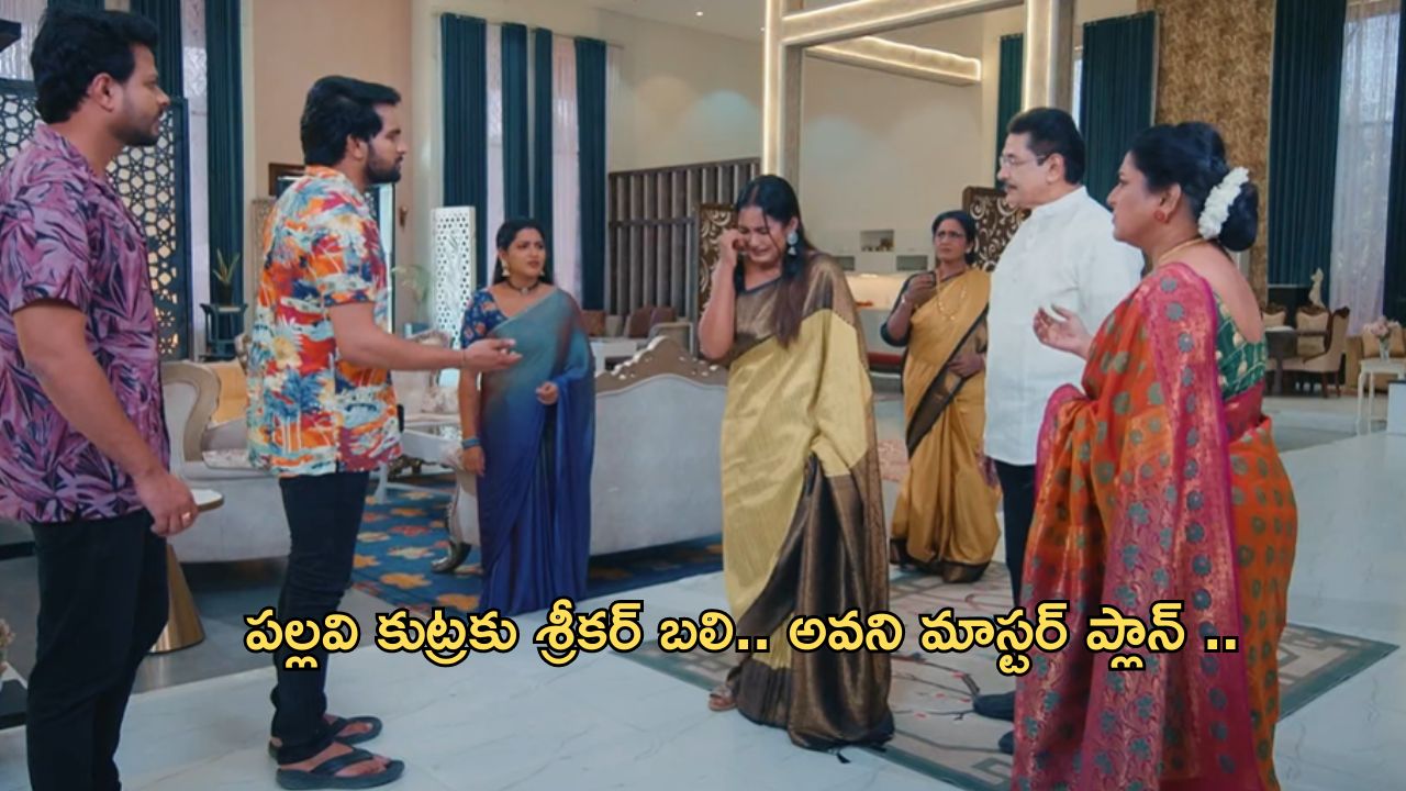 Intinti Ramayanam Today Episode : పల్లవి ప్లాన్ వర్కౌట్ అయ్యింది.. పిన్నితో కలసి పల్లవికి షాక్ ఇవ్వబోతున్న అవని..