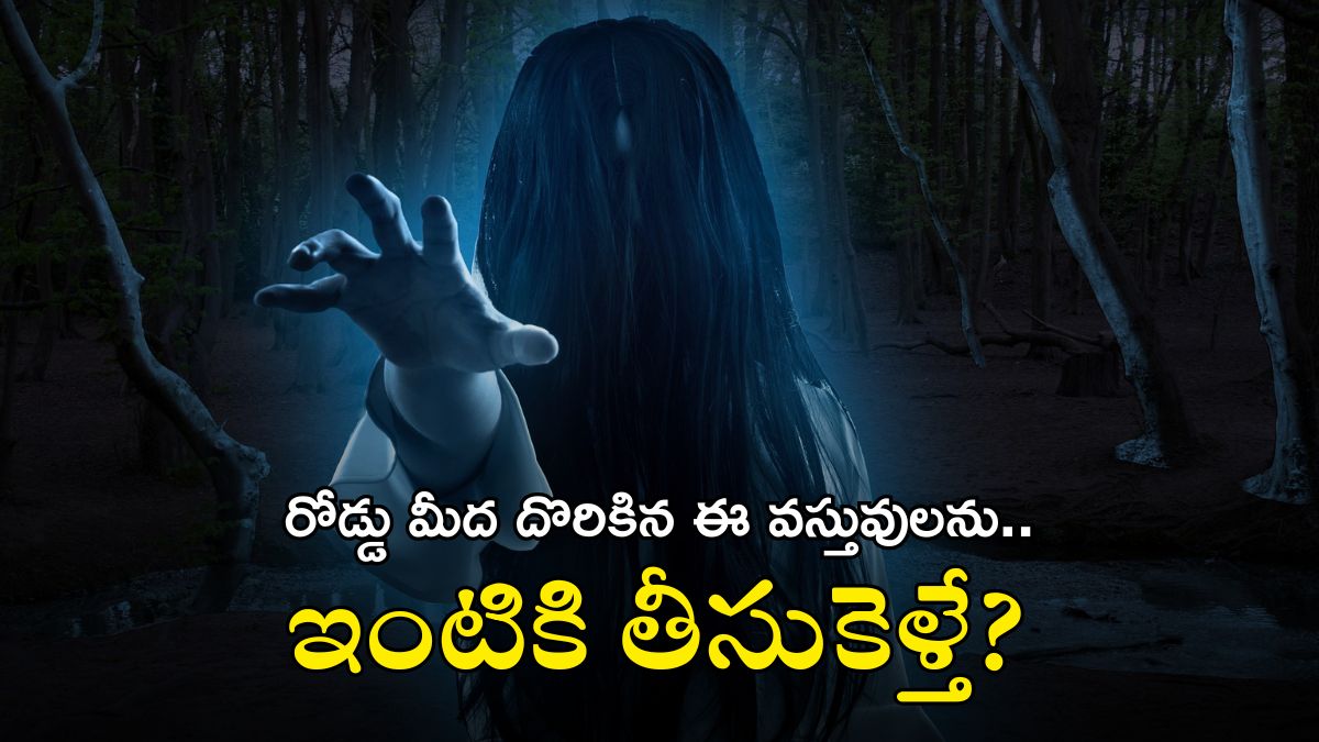 Negative Things: ఈ వస్తువులు రోడ్డుపై కనిపిస్తే ముట్టుకోకండి, వాటిని తాకితే ఏమవుతుందో తెలుసా?