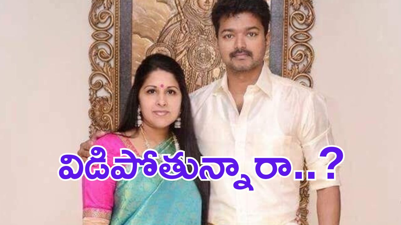 Actor Vijay: కోలీవుడ్ హీరో విజయ్ విడాకులు.. ?