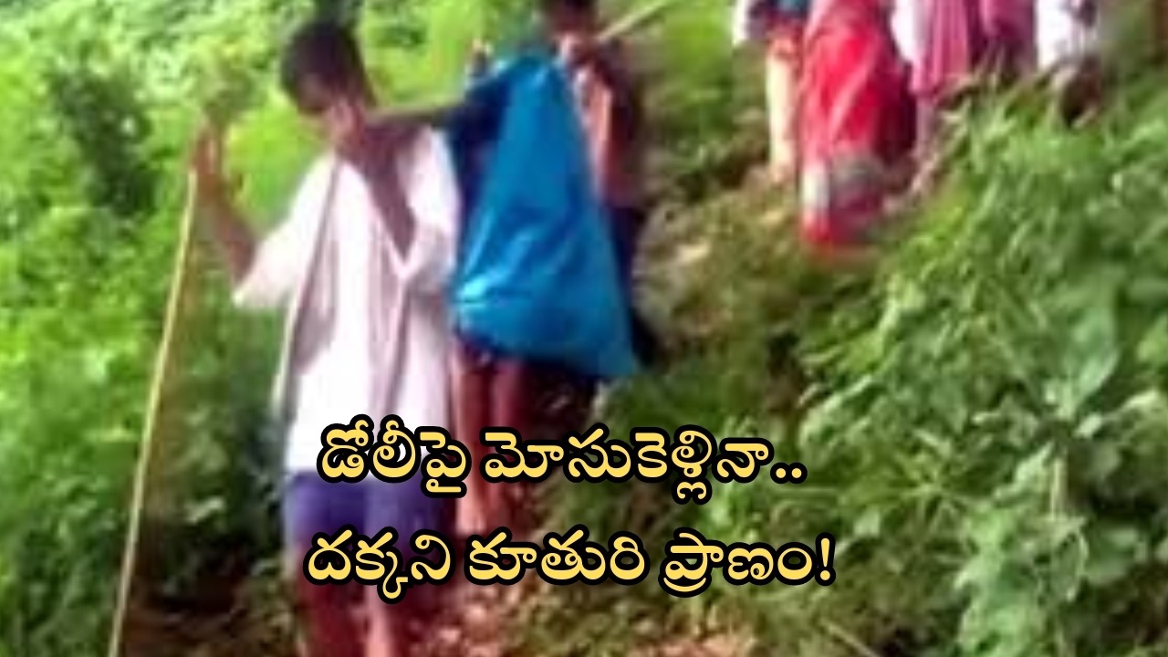 Alluri Sitharama Raju district: అంబులెన్స్ వెళ్లేందుకు దారిలేక విద్యార్థిని మృతి.. డోలీపై మోసుకెళ్లినా దక్కని ప్రాణం